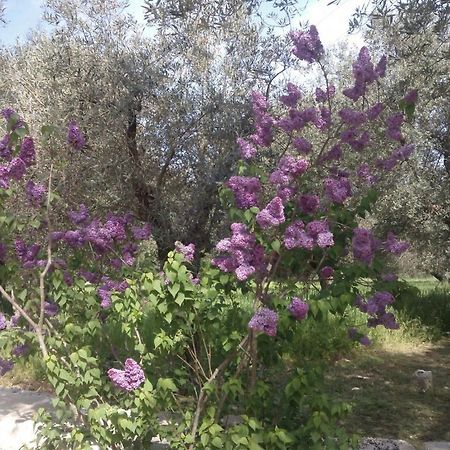 Masseria Costanza Путиньяно Экстерьер фото
