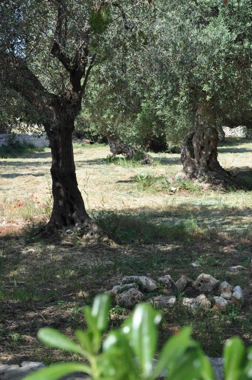Masseria Costanza Путиньяно Экстерьер фото