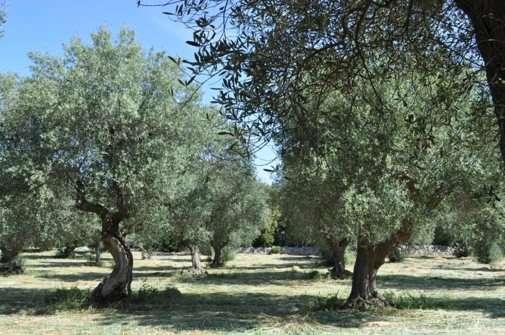 Masseria Costanza Путиньяно Экстерьер фото