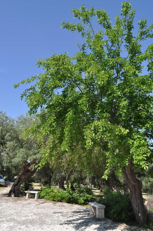 Masseria Costanza Путиньяно Экстерьер фото